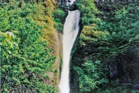 The lush green Western half of Washington.
