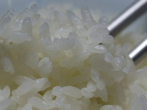 Image:飯2.jpg