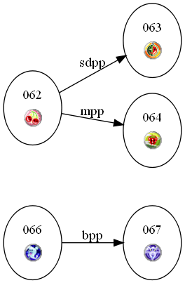 Image:Mus Rattus.graph.old.png