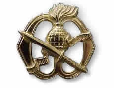 Korps Commandotroepen beret badge