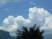 Cumulus congestus