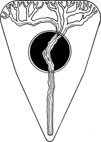 House Ex Miscellanea
