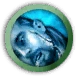 Feint