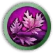 Herbalism
