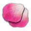 Ginatia