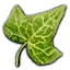 Honeysuckle