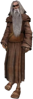 Elder Druid