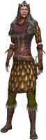 Scoia'tael huntress