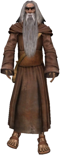 a druid