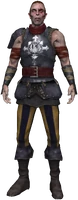 a lackey