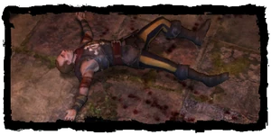 a dead Salamander