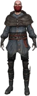 an assassin