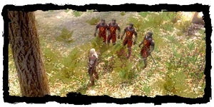 Geralt with his Order posse