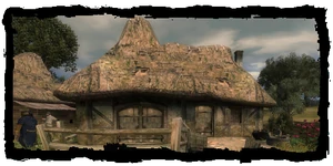 Alina's house