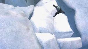 the leap