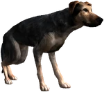 Alvin's dog