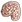 drowner brains