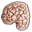 Drowner brain