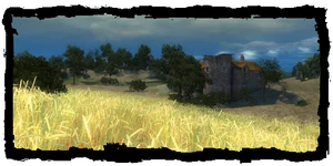 Fields