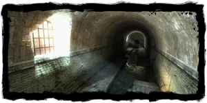 the sewers