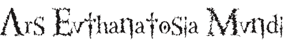 Image:AEM.png