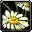 Image:32px-pacifique.png