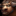 Tauren