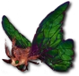 Moth Moth