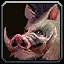 image:ability_hunter_pet_boar.png