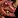 Image:IconSmall ThunderLizard.gif