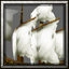 Image:BTNShip.png