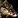 Image:IconSmall ProtoWhite.gif