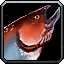 image:inv_misc_fish_22.png