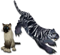 Meow!