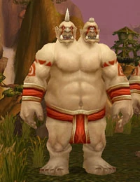 Image of Boulderfist Mystic
