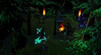 The Night Elf priestess peering into the Troll camp