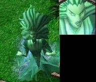 Image of Sea Witch