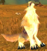 Image of Prairie Wolf