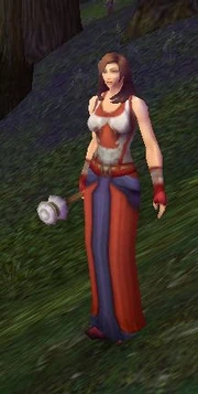 Scarlet Initiate Robes(with Tabard of the Scarlet Crusade).
