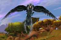 Image of Windroc Matriarch