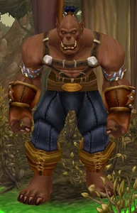 Image of Sky-Master Maxxor