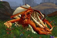 Image of Surristrasz