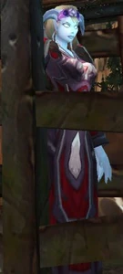 Image of Captured Valgarde Mage