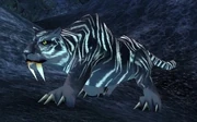 Prized among hunters