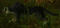 Image of Shadow Panther