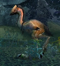 Image of Greater Timberstriker