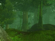 High Wilderness