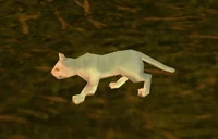 Image of Manny