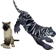 Cats