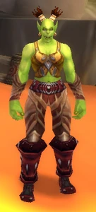 Image of Orgrimmar Commendation Officer